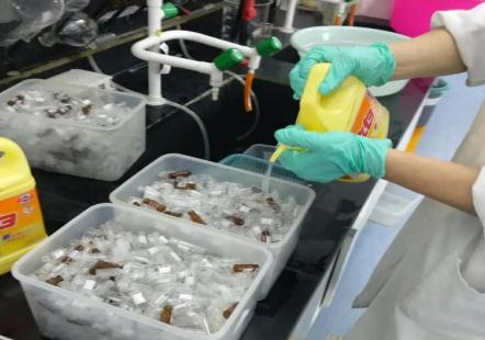 新人進實驗室，為什么先刷瓶子？